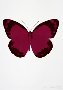 Damien Hirst Fuchsia Pink Burgundy Butterfly