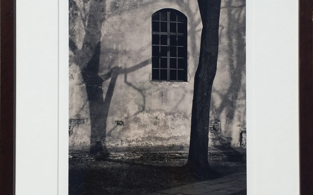 Roman Loranc – Shadow Play
